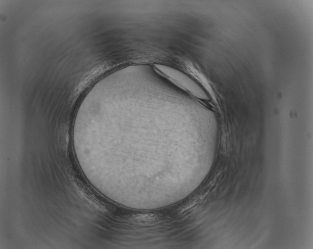 X0000087310059200705180956