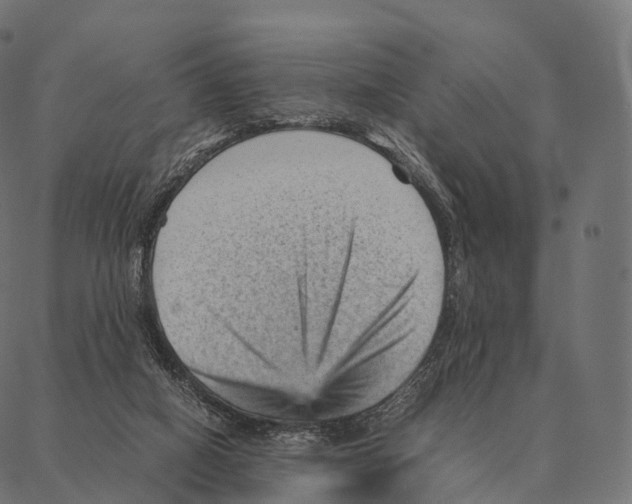 X0000087310066200705180956