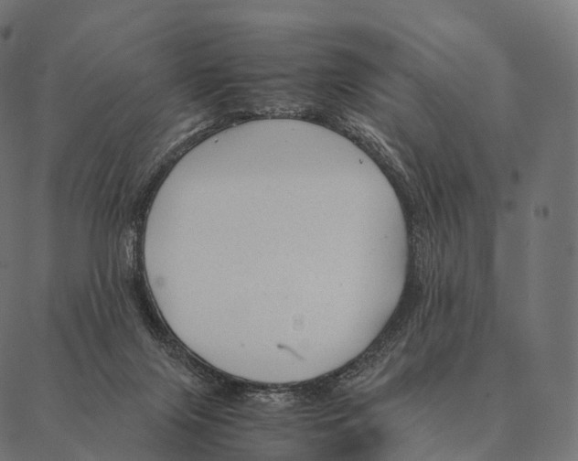 X0000087310071200705180956