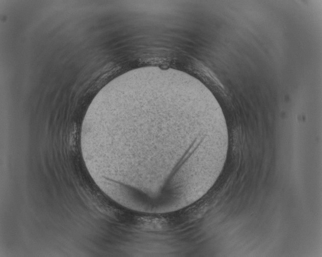 X0000087310073200705180956