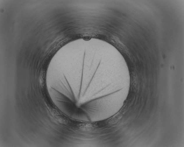 X0000087310074200705180956