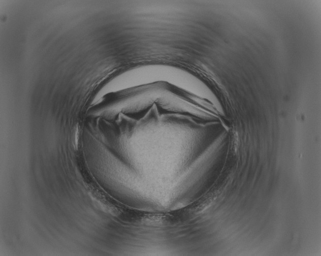 X0000087310076200705180956