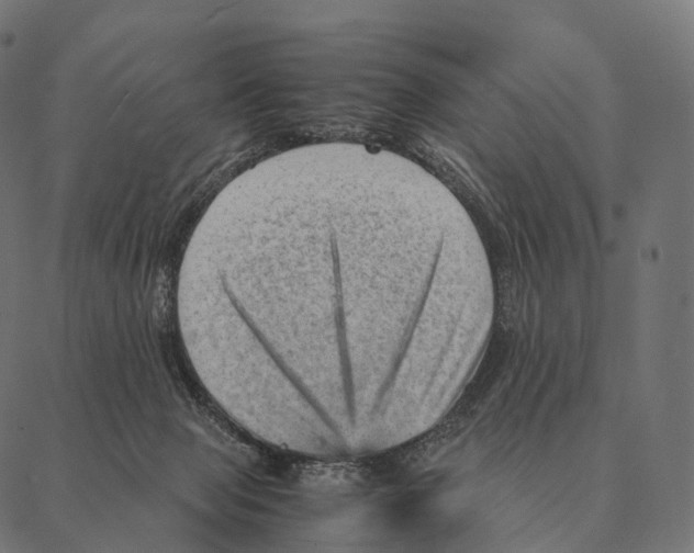 X0000087310077200705180956