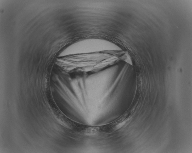 X0000087310080200705180956