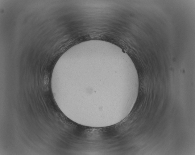 X0000087310082200705180956