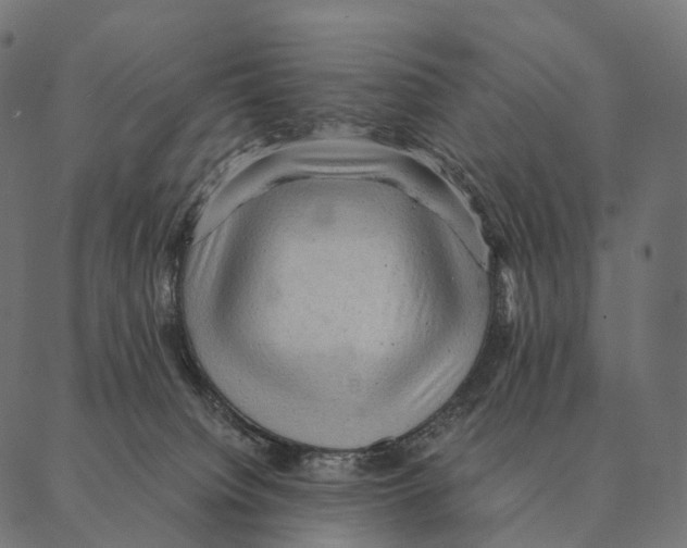 X0000087310084200705180957