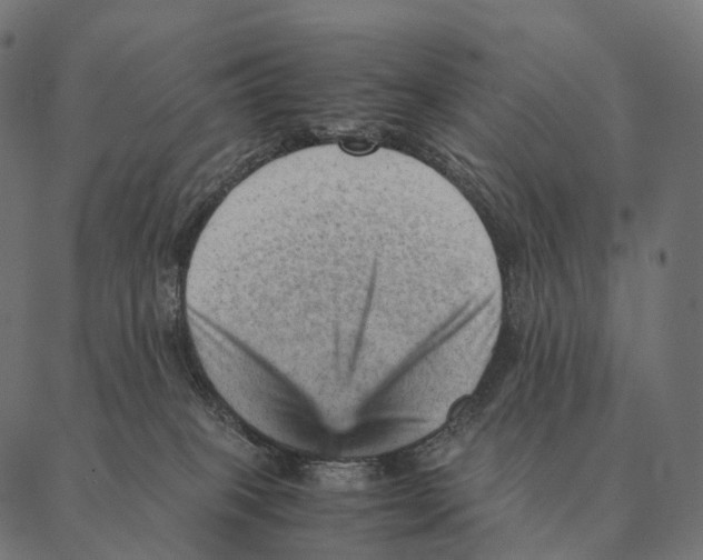 X0000087310085200705180957