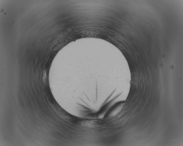 X0000087310086200705180957