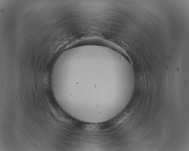 X0000087310088200705180957