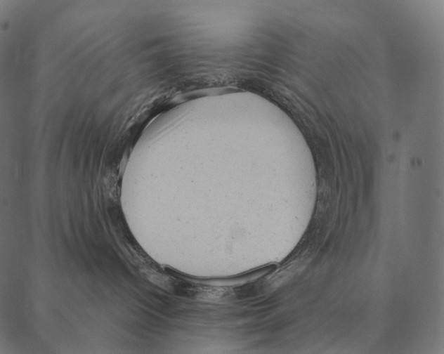 X0000087310096200705180957