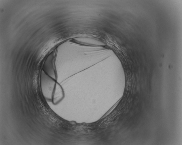 X0000087310098200705180956