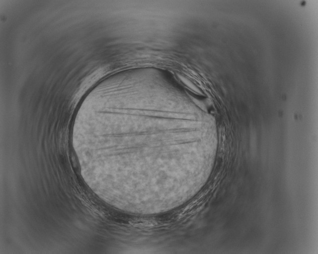 X0000087310099200705180956