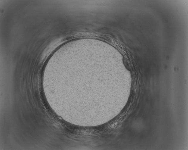 X0000087310103200705180956