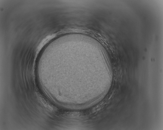 X0000087310104200705180956