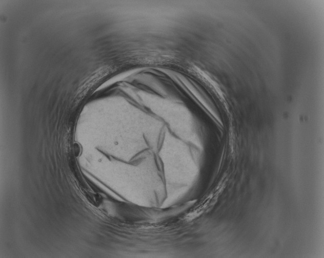 X0000087310105200705180956