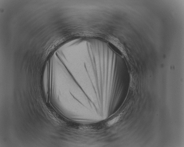 X0000087310109200705180956