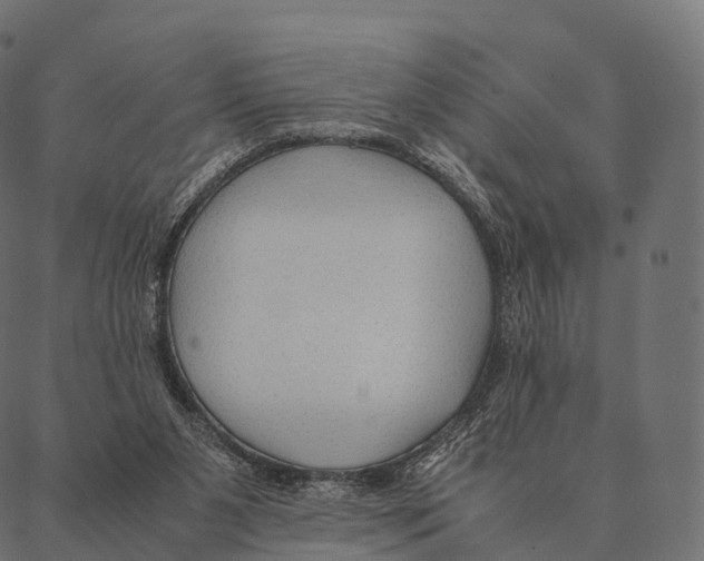 X0000087310111200705180956