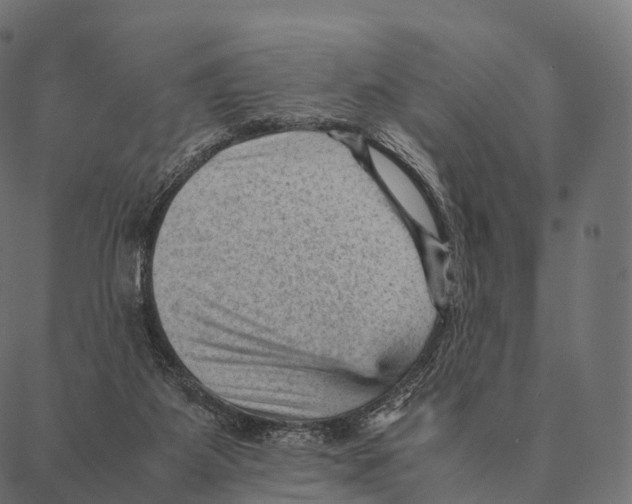 X0000087310115200705180956