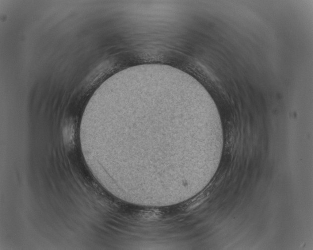 X0000087310124200705180955