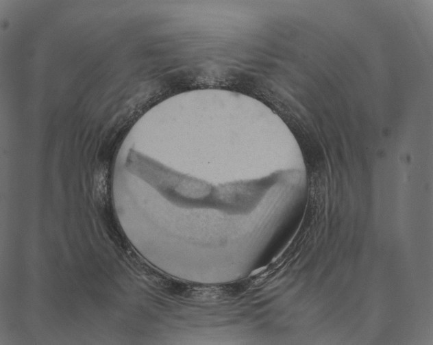 X0000087310127200705180955