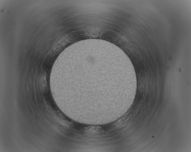 X0000087310128200705180955