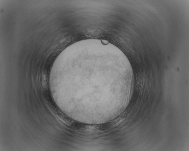 X0000087310130200705180955