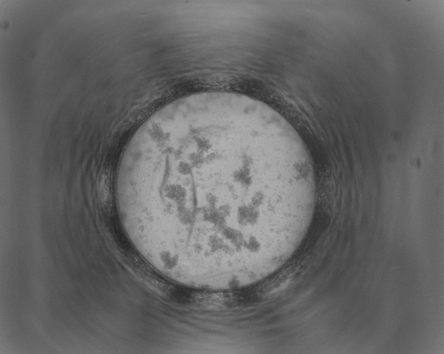 X0000087310131200705180955