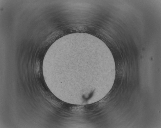 X0000087310132200705180955