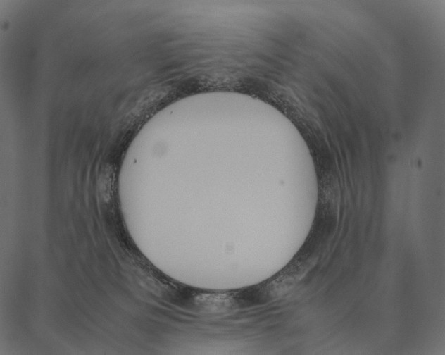 X0000087310133200705180955