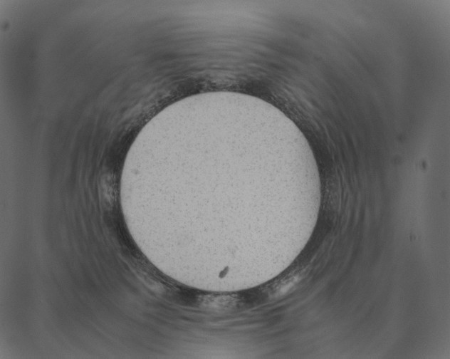 X0000087310135200705180955