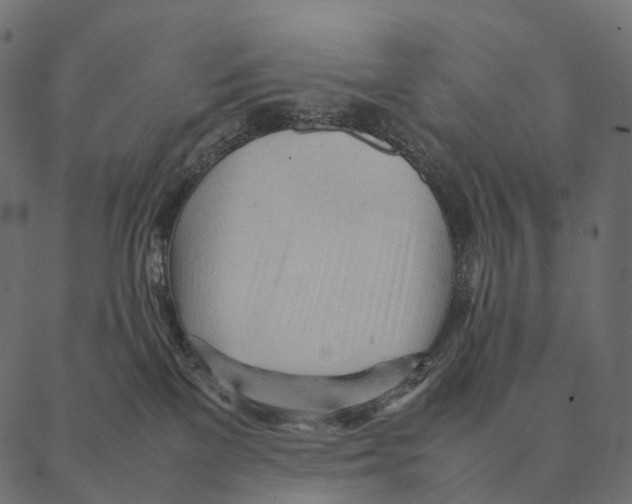 X0000087310137200705180955