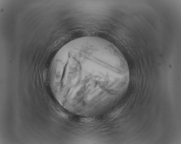 X0000087310139200705180955