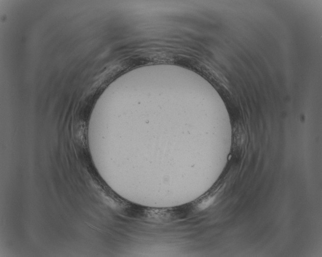 X0000087310141200705180955