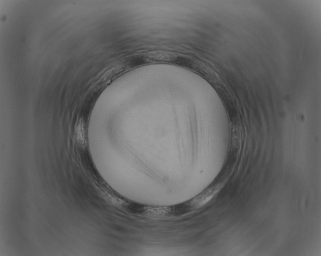 X0000087310143200705180955