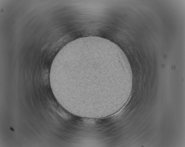 X0000087310144200705180955