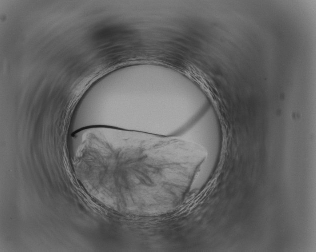 X0000087310145200705180954