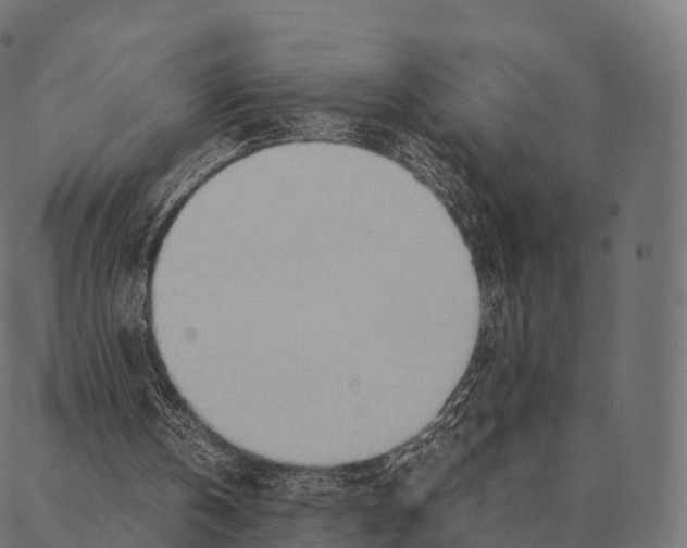 X0000087310146200705180954