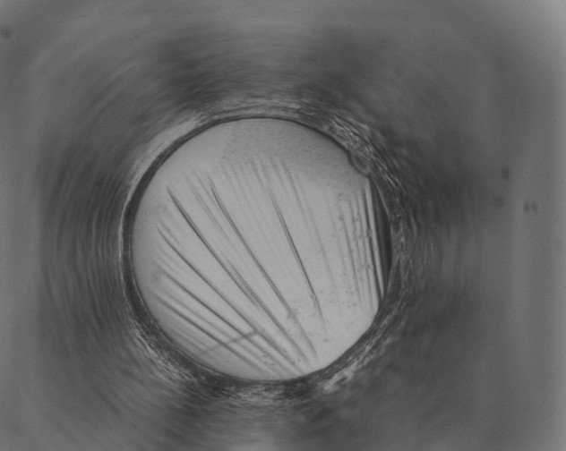 X0000087310148200705180954