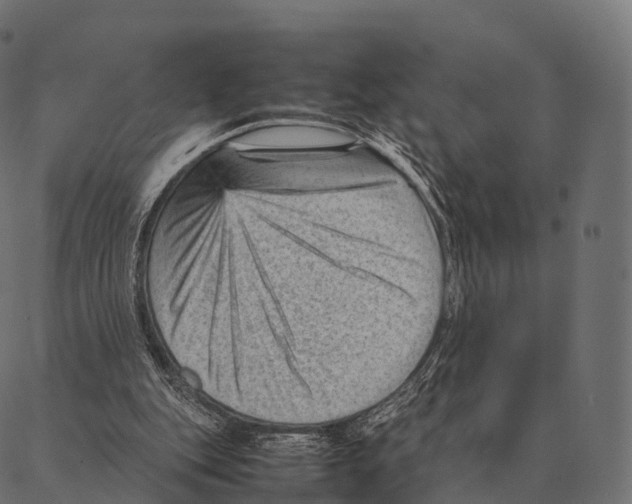 X0000087310151200705180954