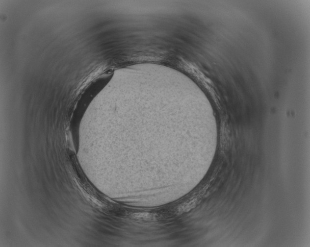 X0000087310153200705180954