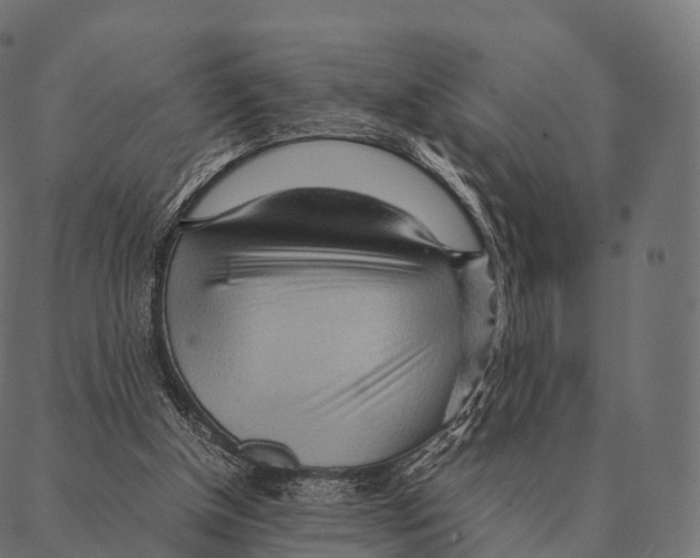 X0000087310154200705180955