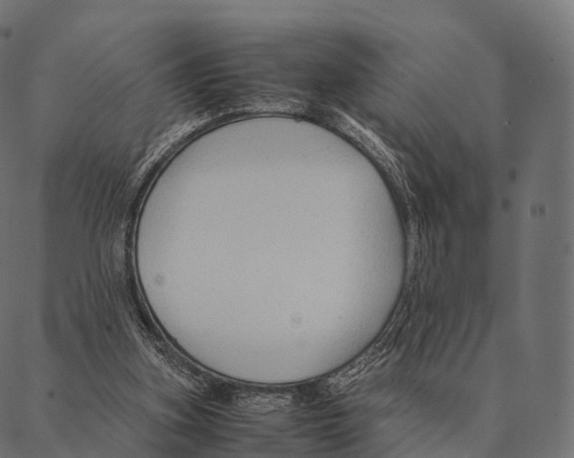 X0000087310155200705180955