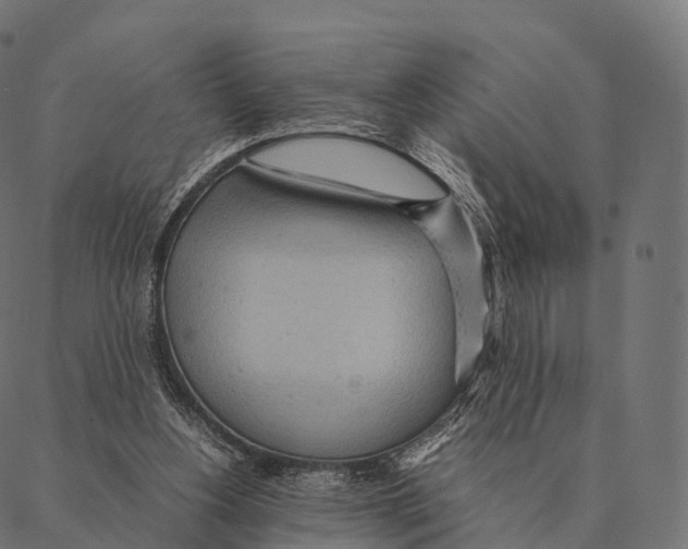 X0000087310156200705180955