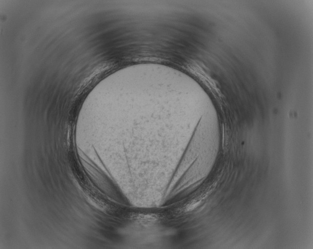 X0000087310157200705180955