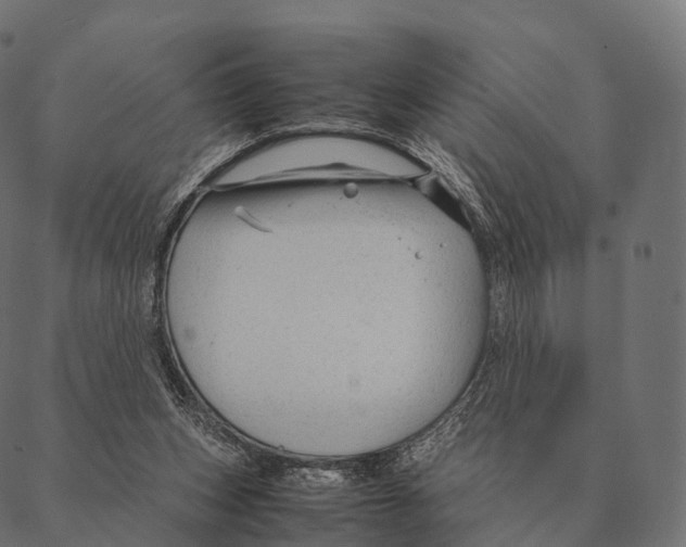 X0000087310159200705180955