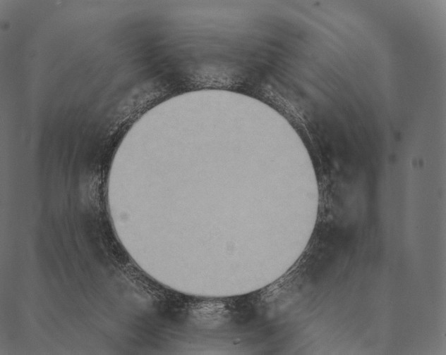 X0000087310162200705180955