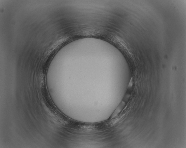 X0000087310164200705180955