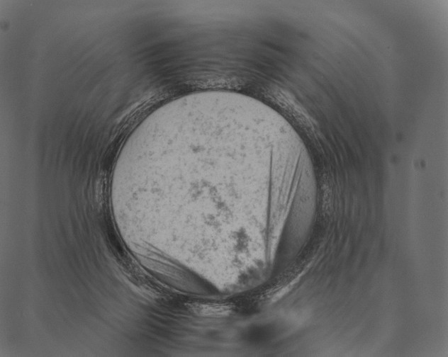 X0000087310165200705180955