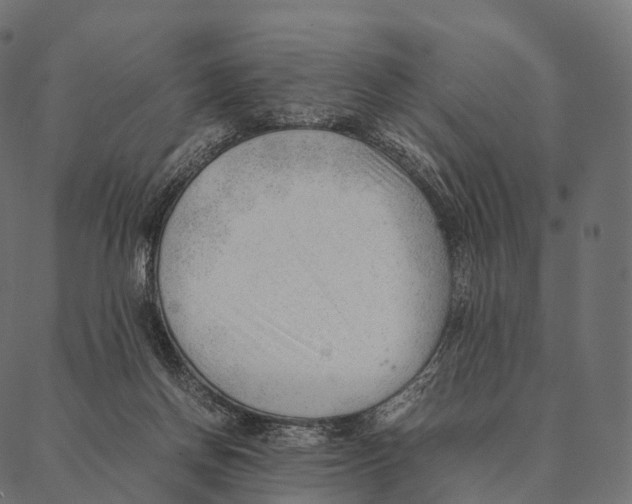 X0000087310166200705180955