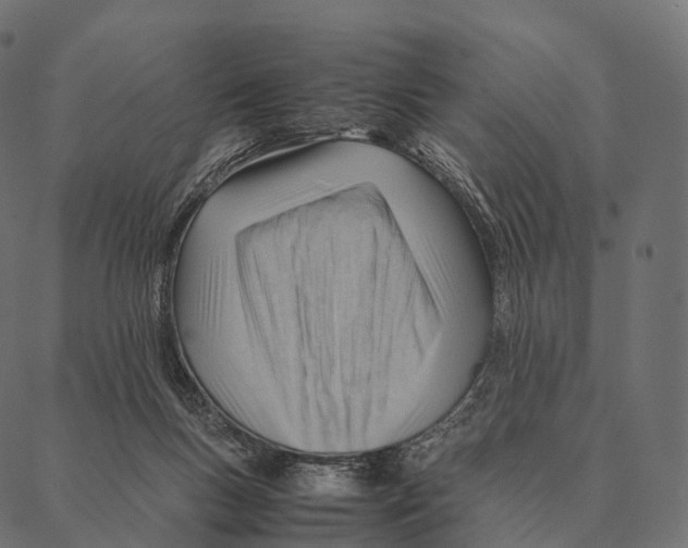 X0000087310167200705180955